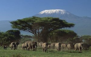 جبل كليمنجارو (Mount Kilimanjaro)