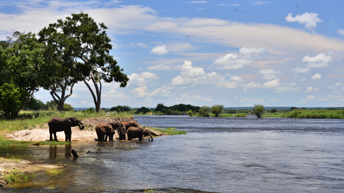 نهر زامبيزي (Zambezi River)