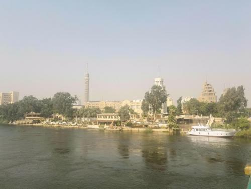 تجربة شخصية التجديف فى نهر النيل بمصر كما لم تعرفه من قبل